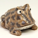 ツノガエル君　１
