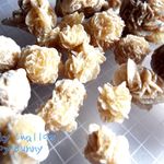 ✅ 10個 サンドローズ 標本 メキシコ産 別名：砂漠の薔薇 カルサイト 方解石