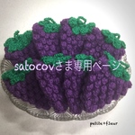 satocoxさま専用ページ   ブドウちゃんアクリルたわし（8個）