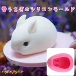 雪うさぎのシリコンモールド　新品