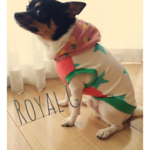 セール！！！！1点物★パイナップルフード