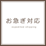 お急ぎ対応【特急料金】