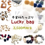 ♡Lucky bag♡ミンクファーたっぷり福袋