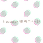 treasurex 様 専用ページ