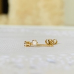✳︎14kgf✳︎ダイヤモンドの一粒ピアス