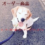 ちづ様 オーダー商品
