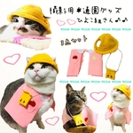 ねこ用撮影グッズ＊入園セット＊ひよこ組さん♪かぶりもの ウェア ねこ ペット帽子