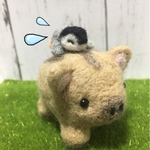 【値下げ】イノシシを乗りこなすロデオペンギン