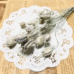 フーセンポピー☆ウオッシュホワイト☆スワッグ☆アロマワックス