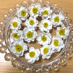 花かんざし ドライフラワー ヘッド 20輪