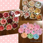 ✳︎感謝SALE価格