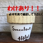 ごつごつシンプル鉢(イエロー)
