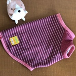 コーギー用トレーナー**赤系ボーダー