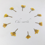 押し花♡菜の花(10枚)