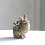 野うさぎのサキュレント（ギャザリング）