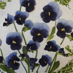 押し花素材 ビオラ（青濃淡)