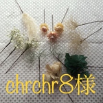 chrchr8様