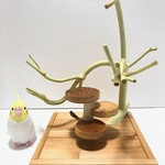 自然木の卓上スタンドアスレチックver,2（S）