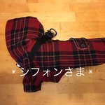 ❇︎シフォンさま❇︎ コートハーネス《ウールチェック赤》