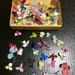 紫陽花 花びら 訳あり花材
