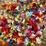 スターフラワー ミニ・マルセラ ヘッドのみ訳ありドライフラワー 花材