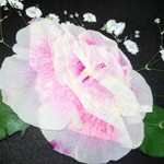 押し花素材。薔薇🌹