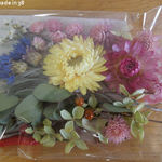 ドライフラワー ちょこっと 詰め合わせ アソート 花材 千日紅 貝細工 花びら ユーカリ キャンドル ハーバリウム ボックス サシェ フレーム