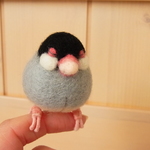 もちもち おねむな文鳥　手乗りorブローチ