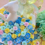 かすみ草ドライフラワー