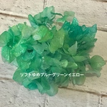 MIXカラー紫陽花オーロララメ加工小分け❣️ハーバリウム花材プリザーブドフラワー