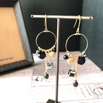 ✳︎dark jewelry box ピアス/イヤリング✳︎   