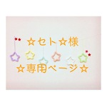 ☆セト☆様 専用ページ ウールレター
