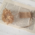 ＊ピンクアナベル♡のドライフラワー＊（洋書つき）