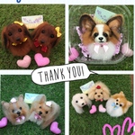 yaratomoyuki様オーダー犬羊毛フェルトストラップ