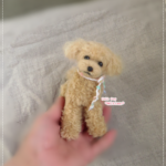 羊毛　カフェオレカラーのプードルちゃん♪羊毛フェルト　プードル