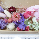 ハーバリウム花材セット  【サービス品 】