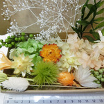 ハーバリウム花材セット  【サービス品B 】