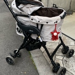 レッド⭐︎お星さま⭐︎キラキラビションちゃんタッセル付きチャーム