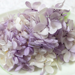 ピラミッド紫陽花　あじさい　プリザーブド　パープルホワイト