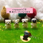 ringogumi4さま専用ページになります