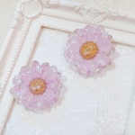 数量限定♡ノースポール♡ドライフラワー ピアス