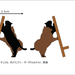 L様注文分☆黒猫とポメラニアンが支えるスマホスタンド・iPhoneスタンド☆
