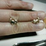Ｆ様の猫ちゃんのスタッドピアス