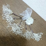 本物花の髪飾り＊かすみ草＋オマケ(チュール&シルバーデイジー)