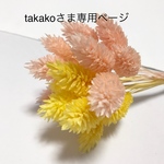 ポアプランツ 4色セット