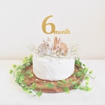 6month ケーキトッパー