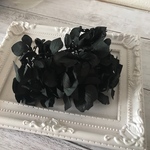 希少❣️ヴェルディッシモ黒入荷❣️ハーバリウム花材プリザーブドフラワー紫陽花