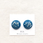 ♢dried flower×blueピアス/イヤリング♢