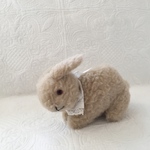 lapin