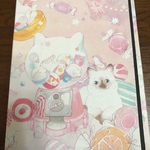 新発売！3型 おすそ分けファイル 🍬 